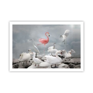 Plakat - Skąd się tu wziąłem? - 91x61 cm