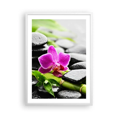 Plakat w białej ramie - W spokojnej równowadze - 50x70 cm