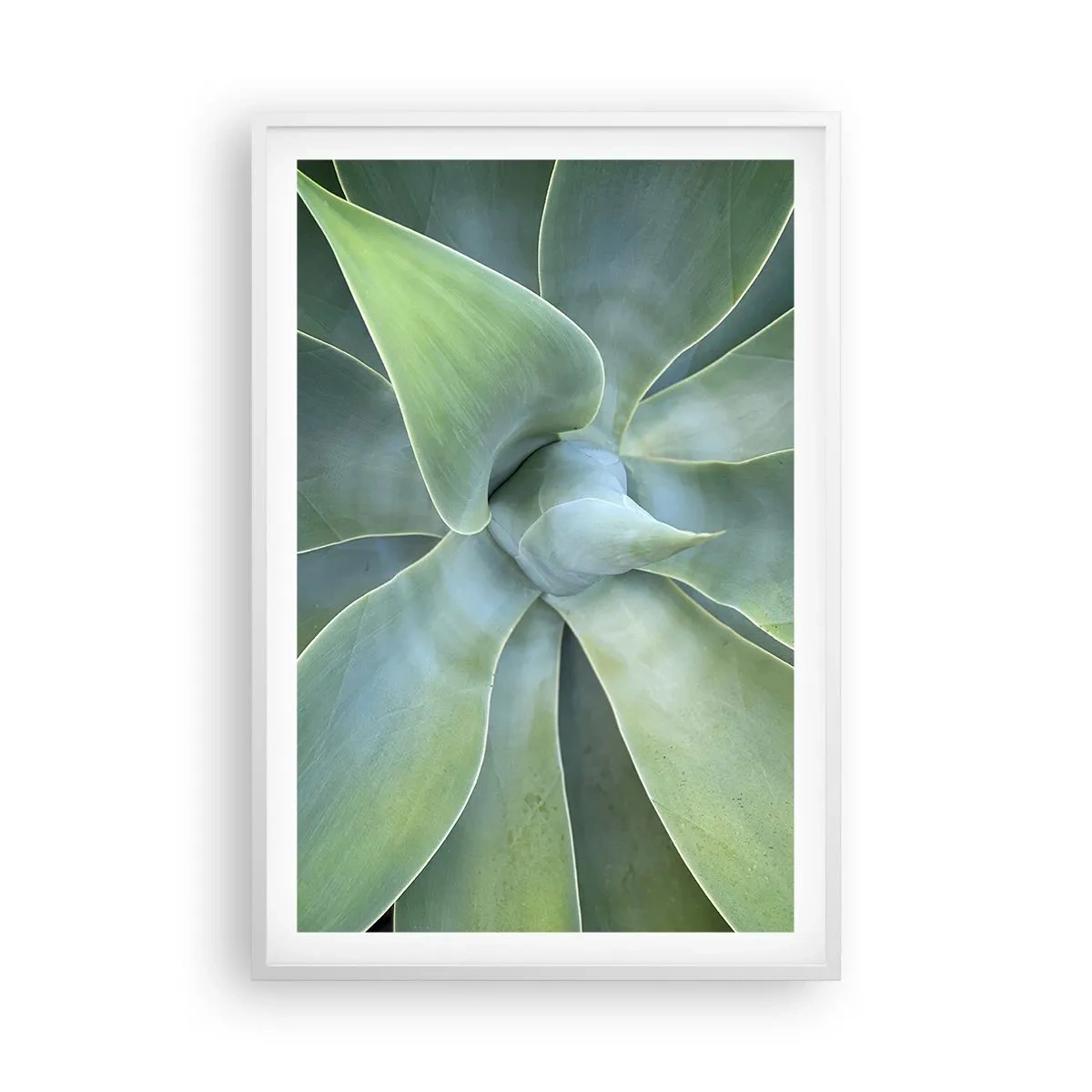 Plakat w białej ramie - Narodziny zieleni - 61x91 cm