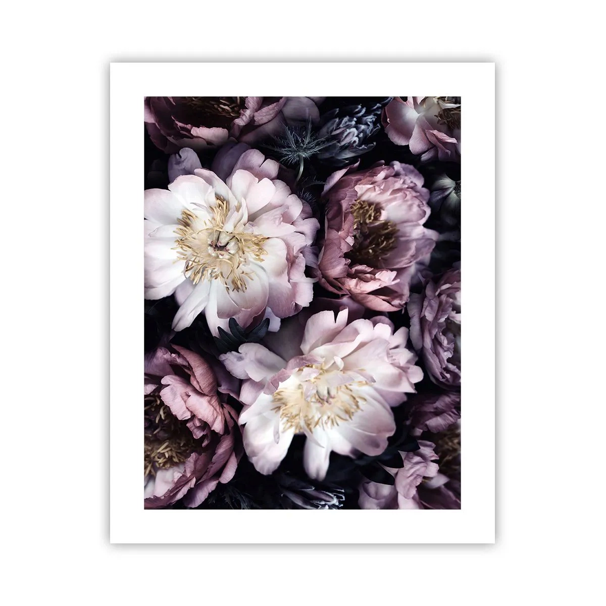 Plakat - Bukiet w dawnym stylu - 40x50 cm