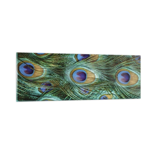 Obraz na szkle - Pawiookie spojrzenie - 90x30 cm