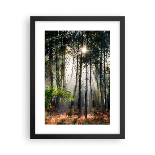 Plakat w czarnej ramie - Leśne uroczysko - 30x40 cm