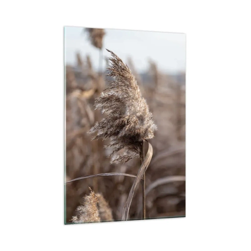 Obraz na szkle - Delikatne trawy w odcieniach beżu na tle natury - 80x120cm - Czas odlecieć z wiatrem - Nowoczesna dekoracja ścienna do salonu i sypialni ARTTOR