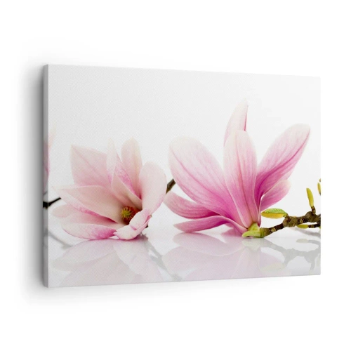 Obraz na płótnie - Delikatne różowe magnolie na białym tle - 70x50cm - Delikatne jak powiew wiosny - Nowoczesna dekoracja ścienna do salonu i sypialni ARTTOR