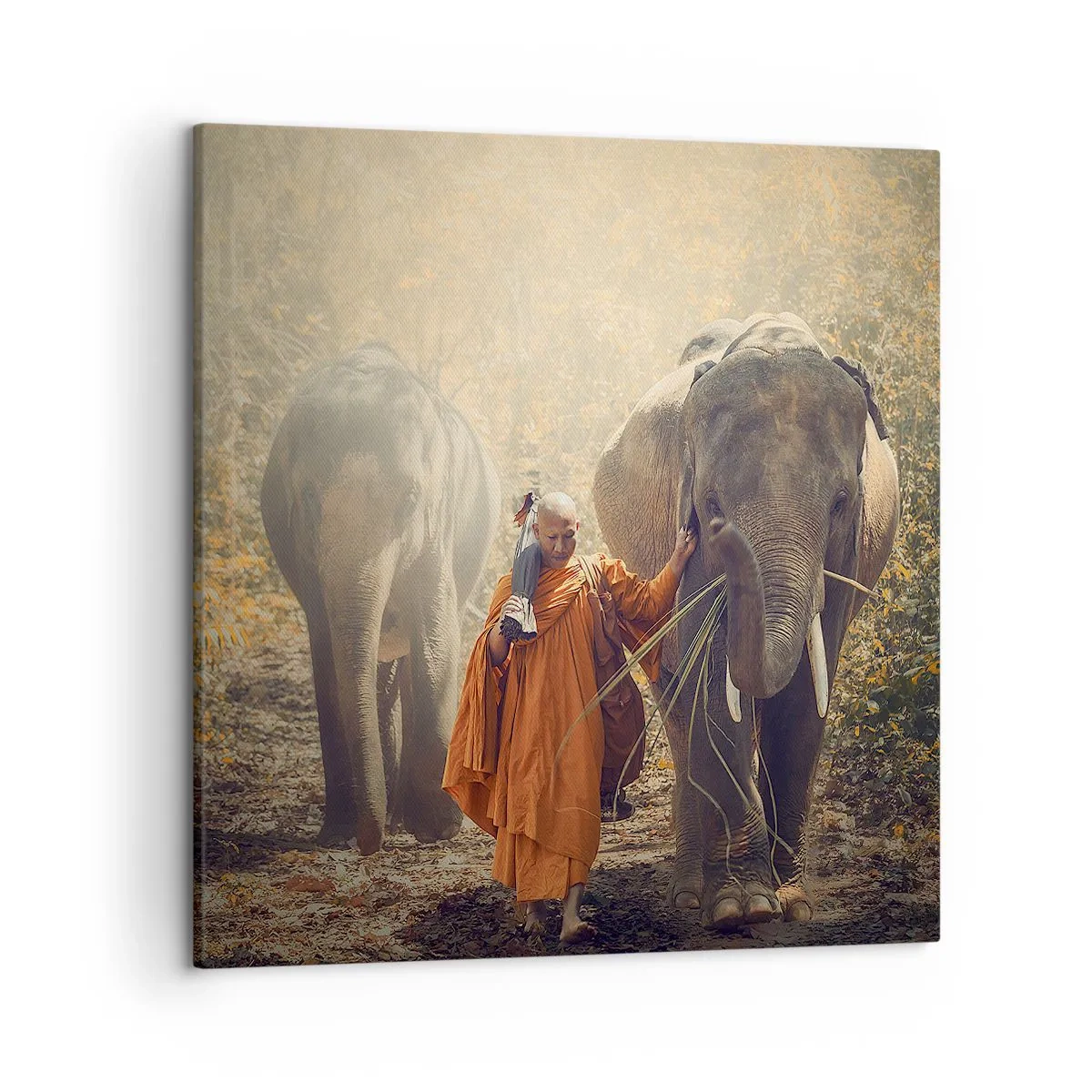 Obraz na płótnie - Pełne zrozumienie - 50x50 cm