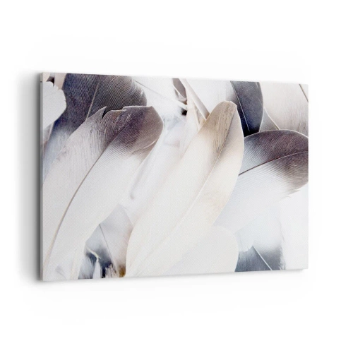 Obraz na płótnie - Zbliżenie na delikatne pióra w odcieniach bieli i szarości - 120x80cm - Niemal anielskie - Nowoczesna dekoracja ścienna do salonu, kuchni i sypialni ARTTOR