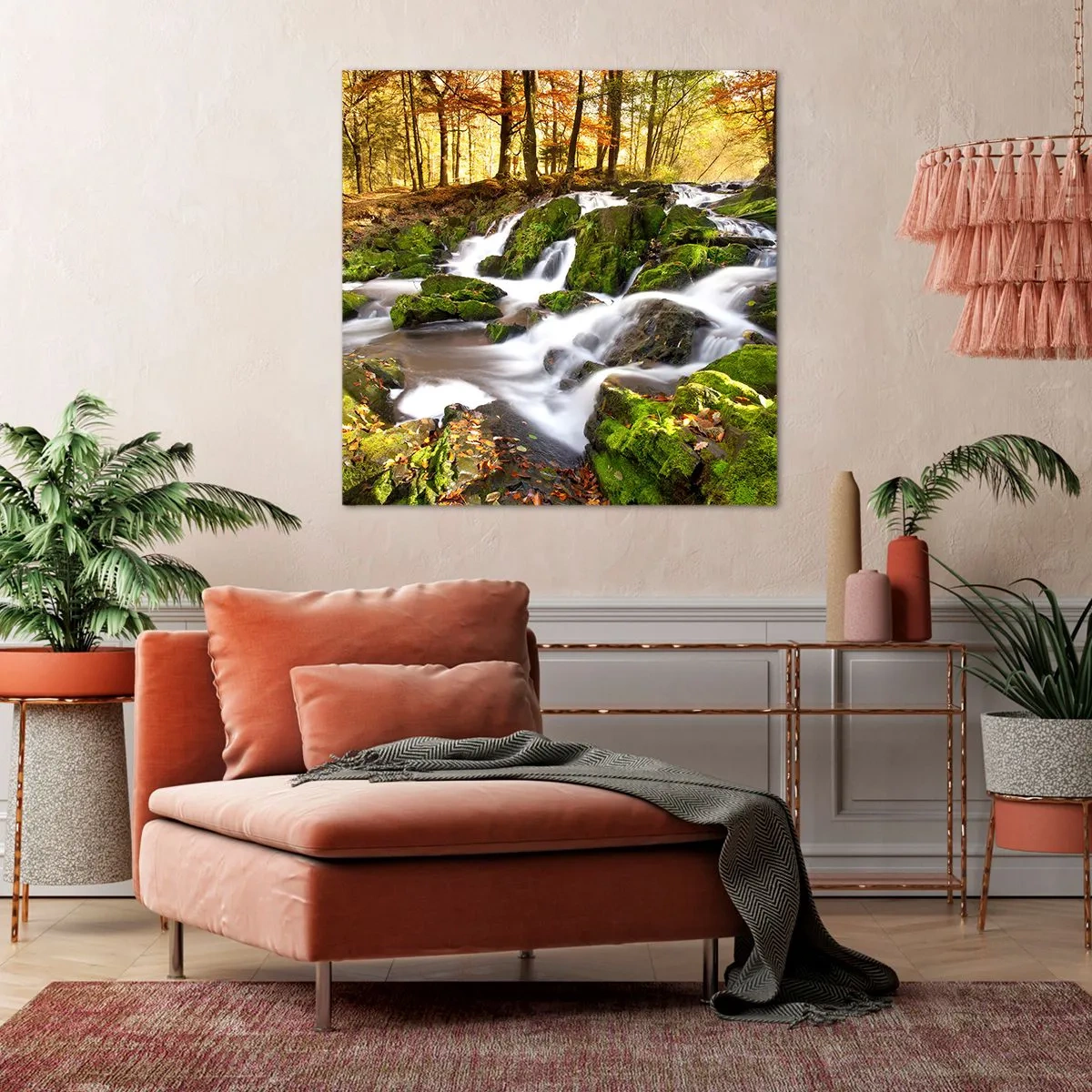 Obraz na płótnie - Bystro przez jesienny las - 60x60 cm