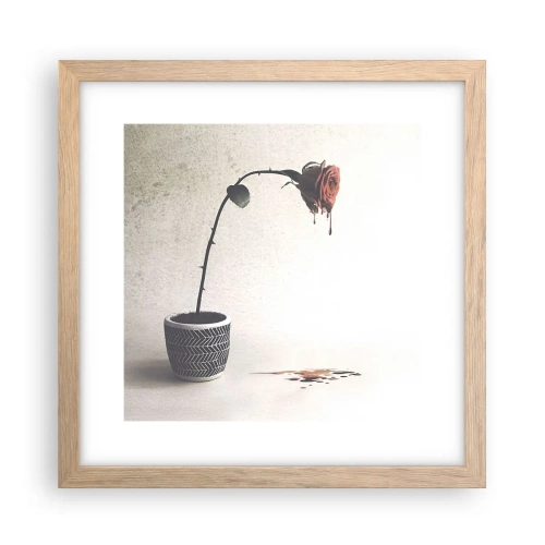 Plakat w ramie jasny dąb - Rosa dolorosa - 30x30 cm