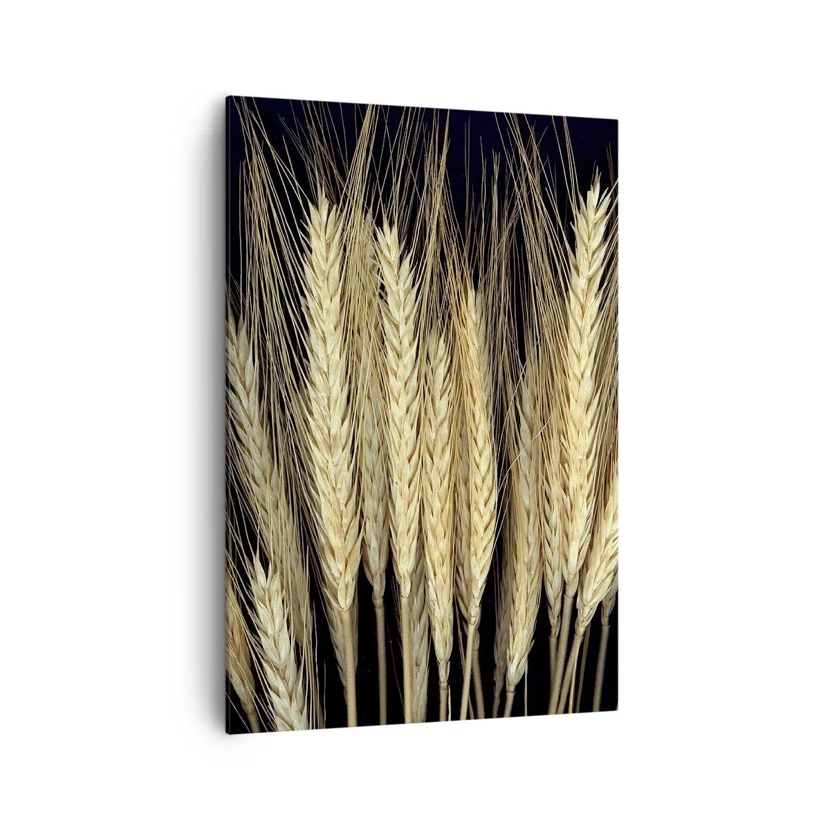 Obraz na płótnie - Kłosy pszenicy na czarnym tle w rustykalnym stylu - 70x100cm - Rustykalna magia - Nowoczesna dekoracja ścienna do salonu i sypialni ARTTOR
