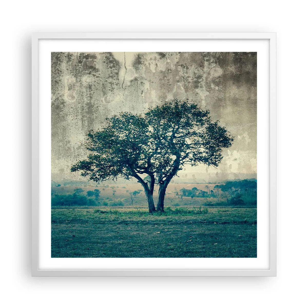 Plakat w białej ramie - Jabłoń na błękitnym błoniu? - 60x60 cm