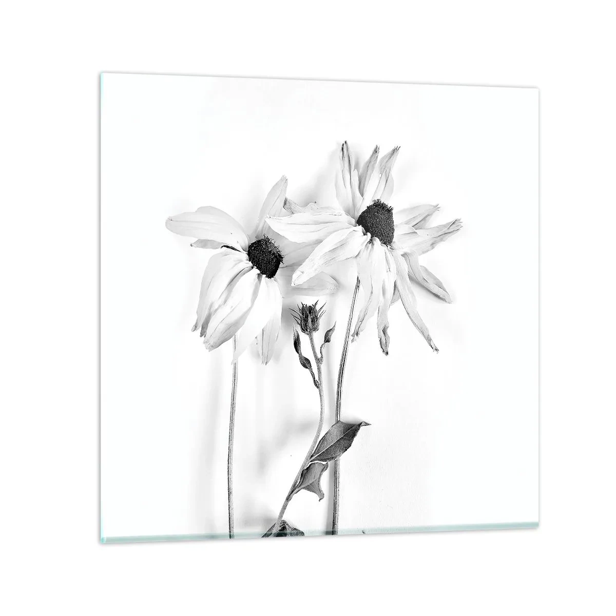 Obraz na szkle - Nikt nie chce być sam - 70x70 cm