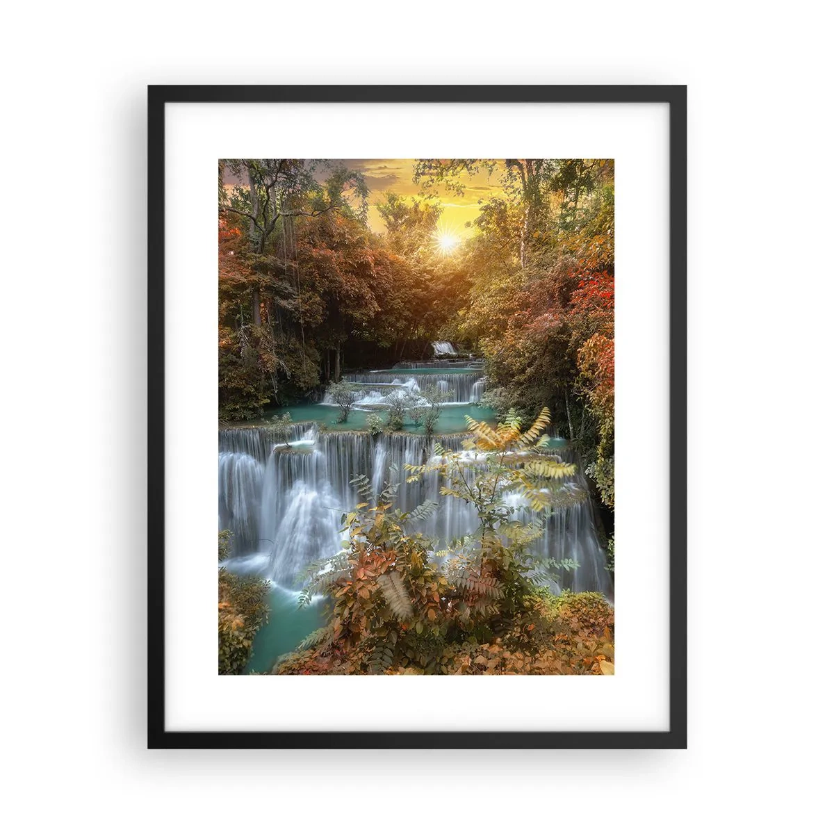 Plakat w czarnej ramie - Ukryty skarb lasu - 40x50 cm