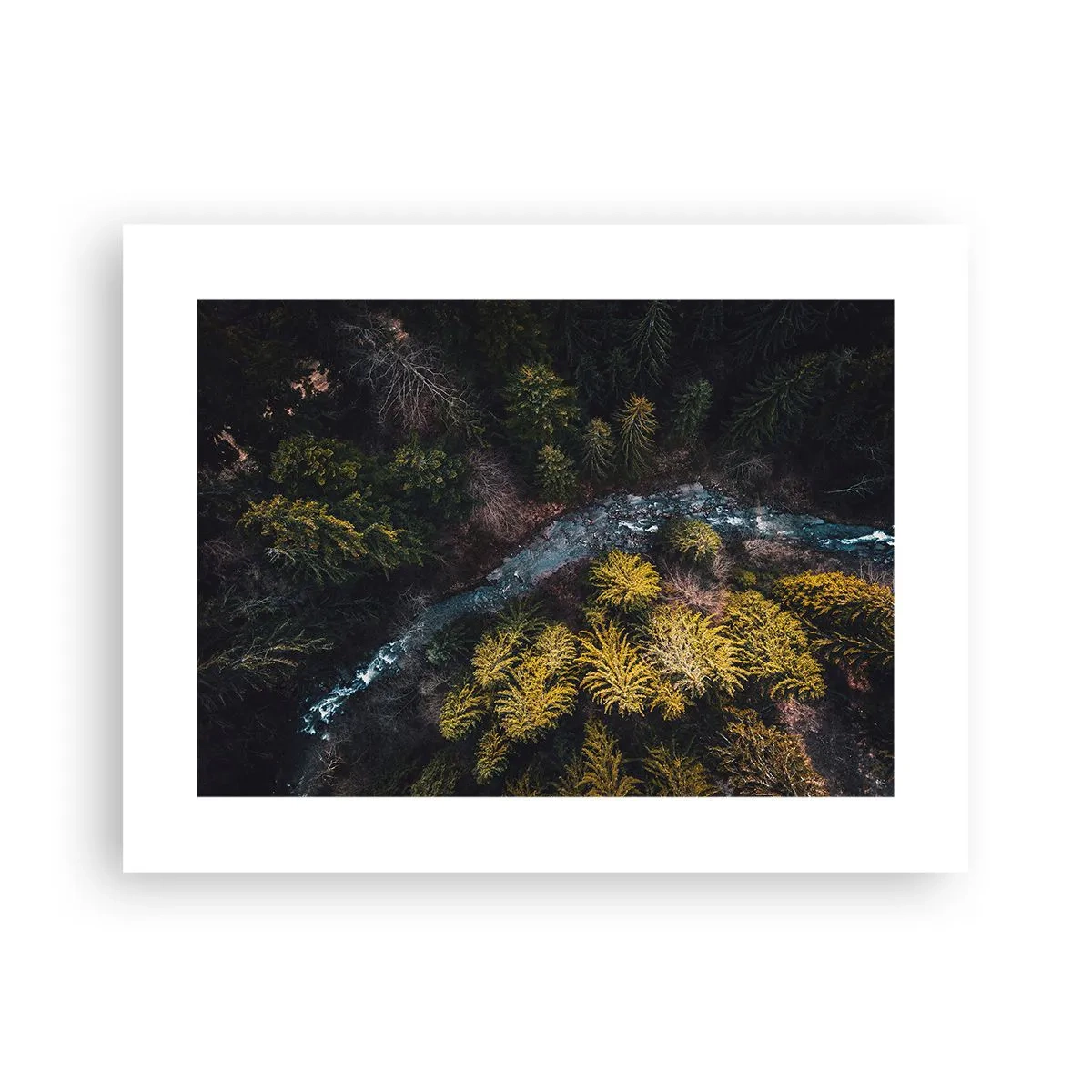 Plakat - Szybko, coraz szybciej - 40x30 cm