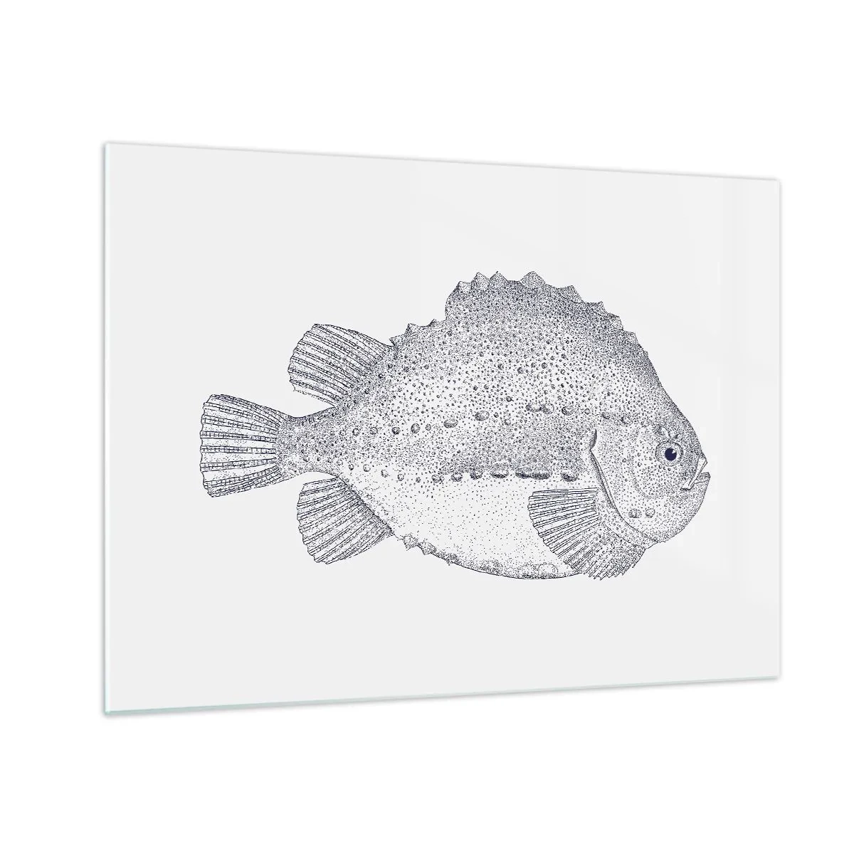 Obraz na szkle - Szczegółowa rycina ryby na białym tle w stylu przyrodniczym - 70x50cm - Do albumu przyrodnika - Nowoczesna dekoracja ścienna do salonu i sypialni ARTTOR