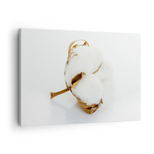 Obraz na płótnie - Gałązka bawełny na jasnym tle w minimalistycznym ujęciu - 70x50cm - Miękka z natury - Nowoczesna dekoracja ścienna do salonu i sypialni ARTTOR