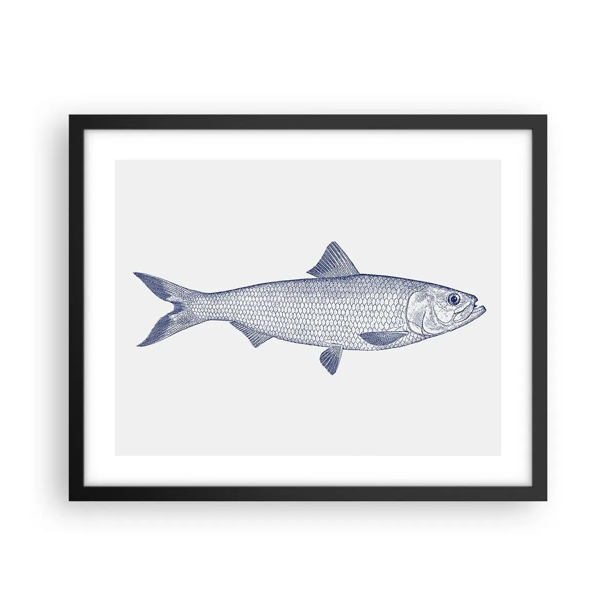 Plakat w czarnej ramie - Pozdrowienia z północnych mórz - 50x40 cm