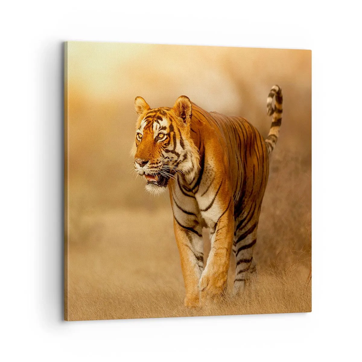 Obraz na płótnie - Przed atakiem - 60x60 cm