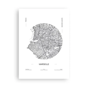 Plakat - Anatomia Marsylii - 50x70 cm