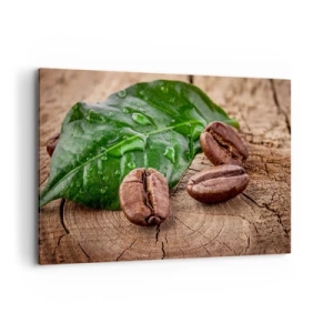Obraz na płótnie - Ziarna kawy i zielony liść na drewnianym tle - 100x70cm - Najprawdziwsza i czarna - Nowoczesna dekoracja ścienna do salonu, kuchni i sypialni ARTTOR