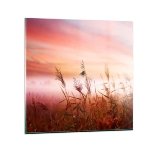 Obraz na szkle - Latawce, dmuchawce, wiatr - 60x60 cm