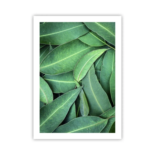 Plakat - Zielone liście ułożone w gęstą kompozycję - 50x70cm - Soczyste i świeże - Nowoczesna dekoracja ścienna do salonu, kuchni i sypialni ARTTOR
