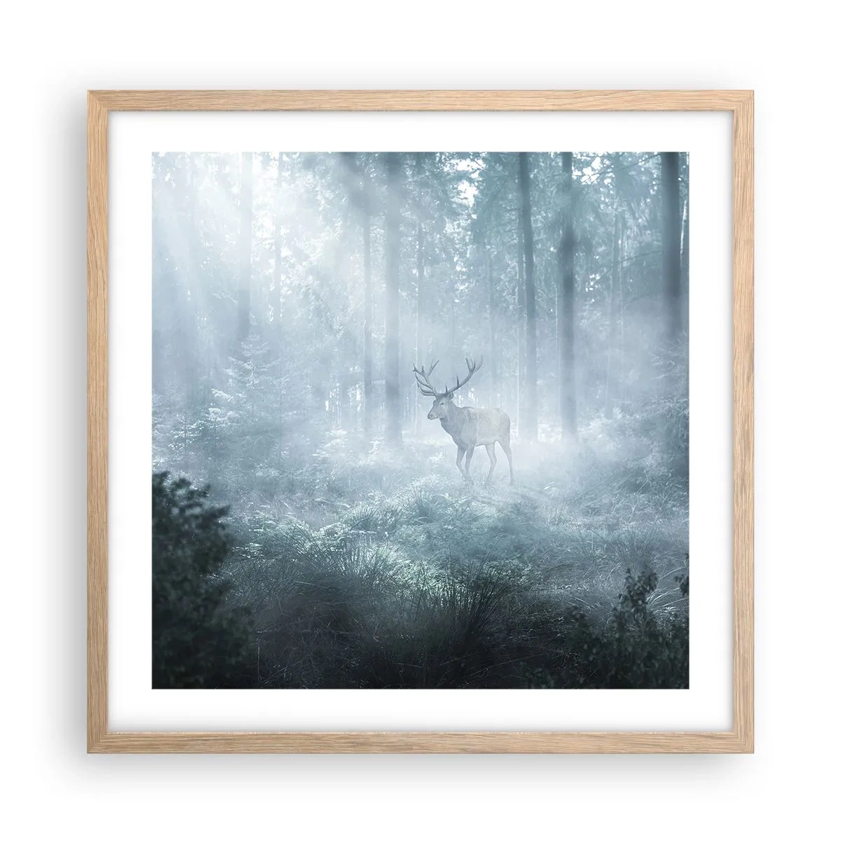 Plakat w ramie jasny dąb - Poranny obchód włości - 50x50 cm