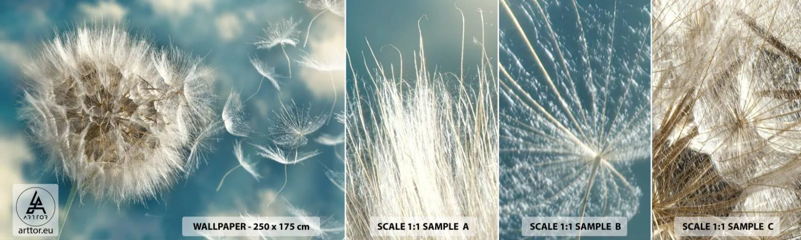 Fototapeta Próbka Standard Eco - Oddech anioła - Natura, Babie Lato, Sztuka - 100x30 cm