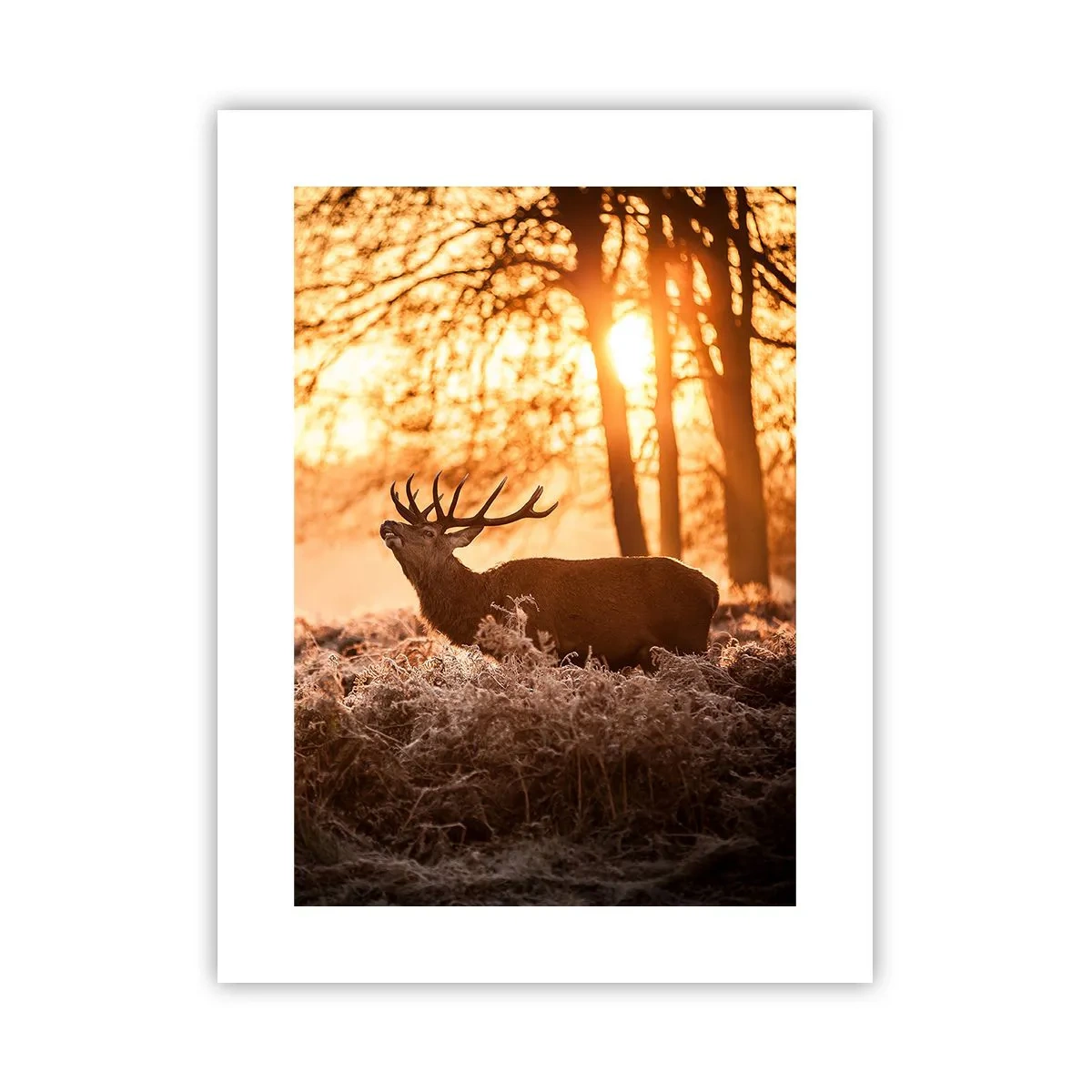 Plakat - Marzenie myśliwego - 30x40 cm