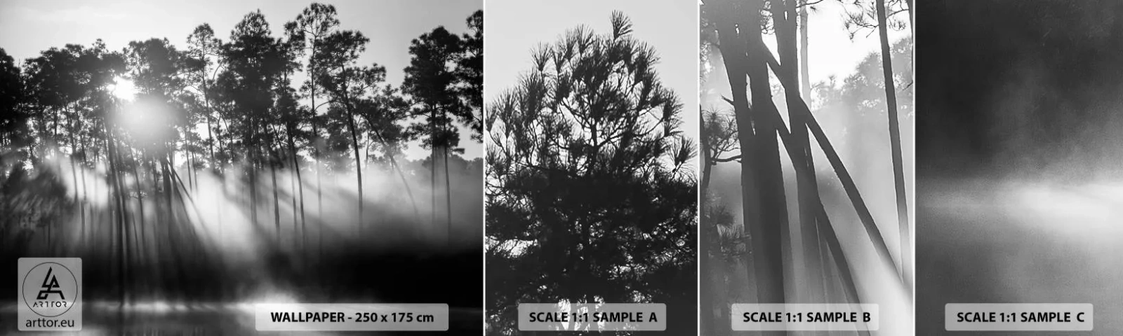 Fototapeta Próbka Standard Eco - Niepowstrzymane słońce - Krajobraz, Las, Natura - 100x30 cm