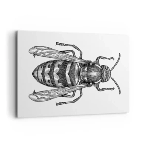 Obraz na płótnie - Rysunkowy motyw osy na białym tle w stylu minimalistycznym - 120x80cm - Z owadziej planety - Nowoczesna dekoracja ścienna do salonu, kuchni i sypialni ARTTOR