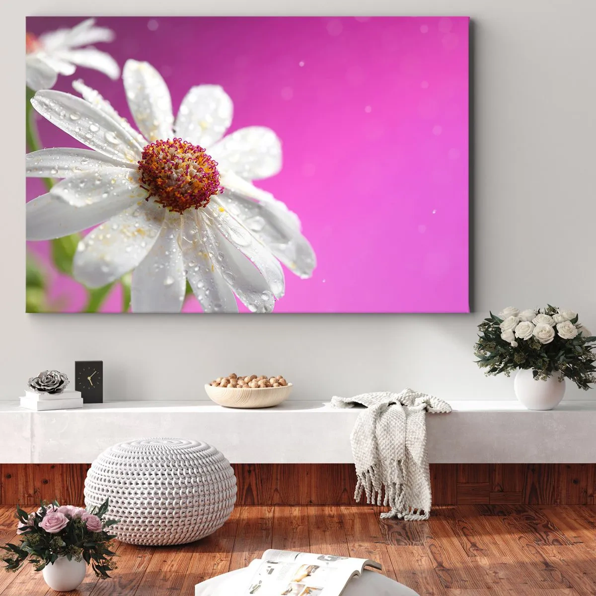 Obraz na płótnie - Biała stokrotka pokryta kroplami wody na różowym tle - 70x50cm - Skromny w swojej urodzie - Nowoczesna dekoracja ścienna do salonu i sypialni ARTTOR