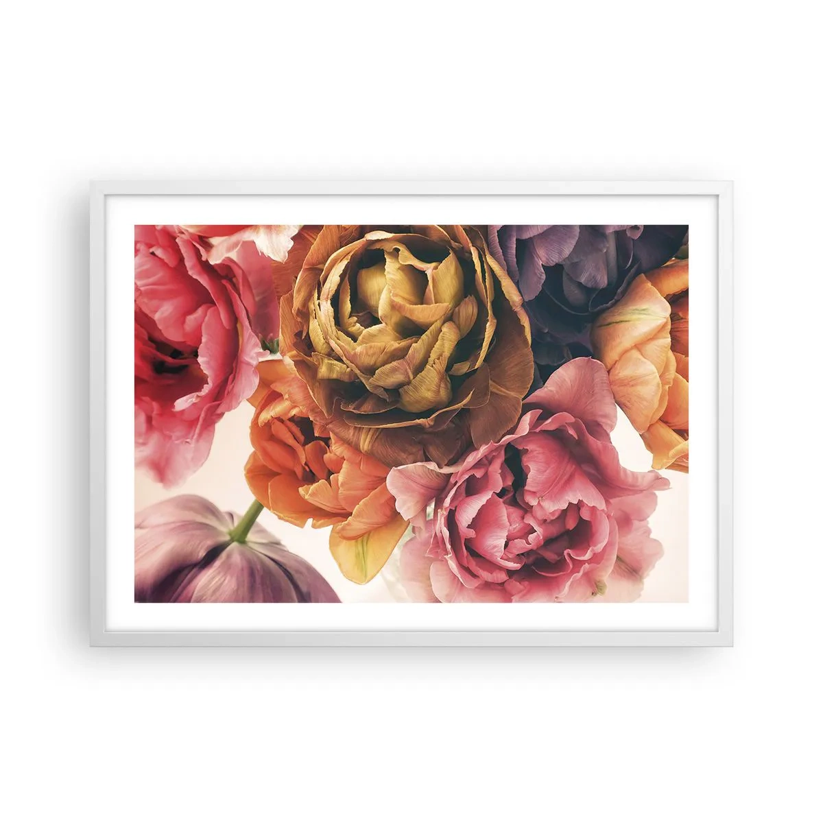 Plakat w białej ramie - Święto życia - 70x50 cm