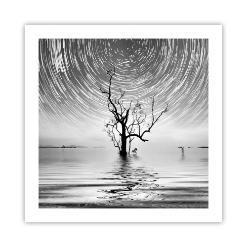 Plakat - Symfonia natury - 50x50 cm