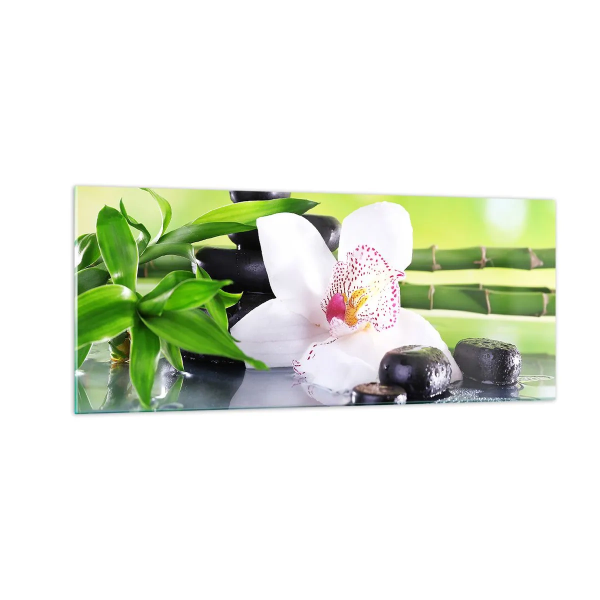 Obraz na szkle - Chłodna świeżość - 100x40 cm