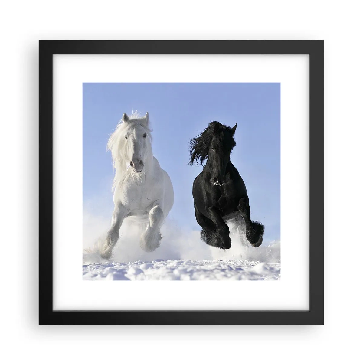 Plakat w czarnej ramie - Czarno-biały galop - 30x30 cm