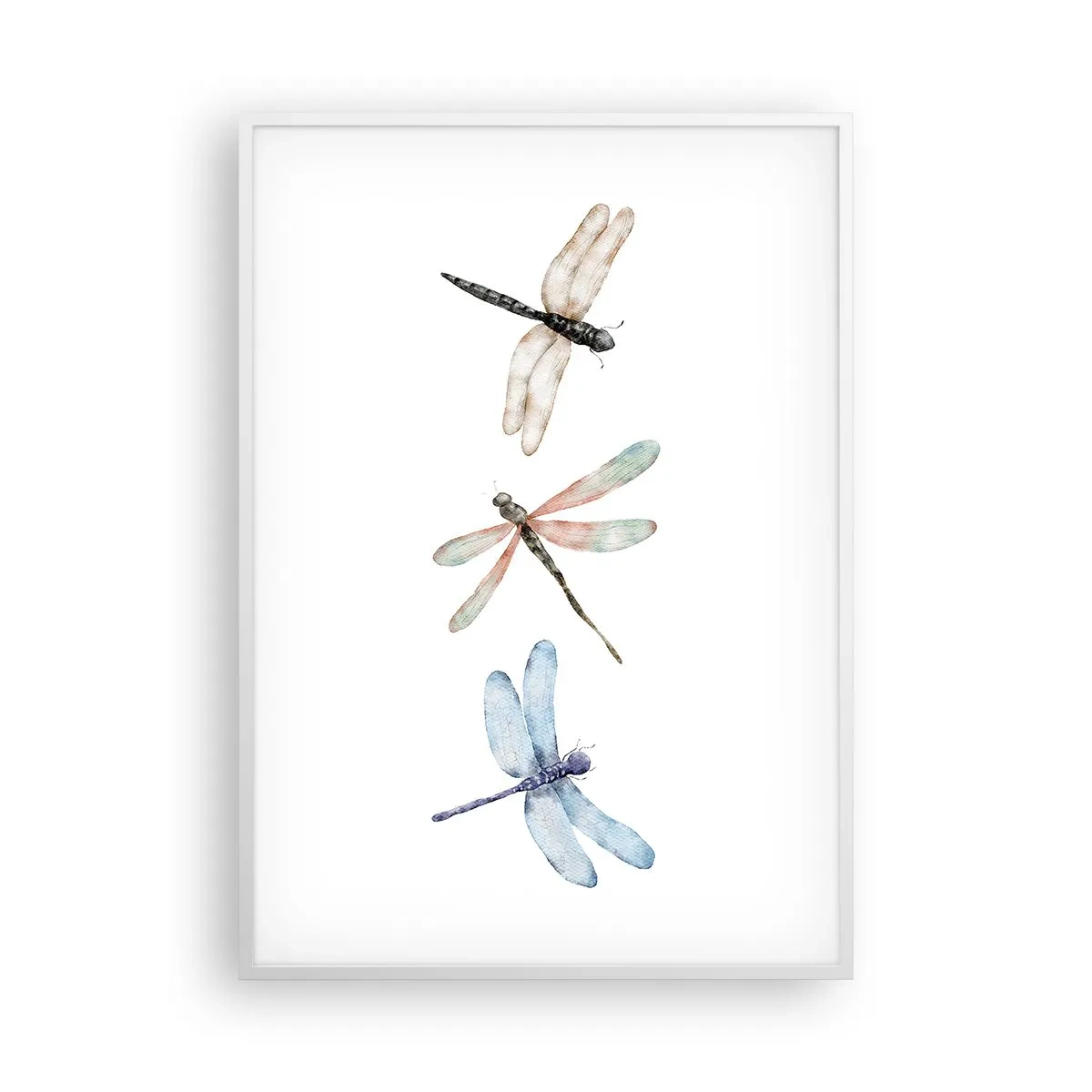 Plakat w białej ramie - Ważki nieważkie - 70x100 cm