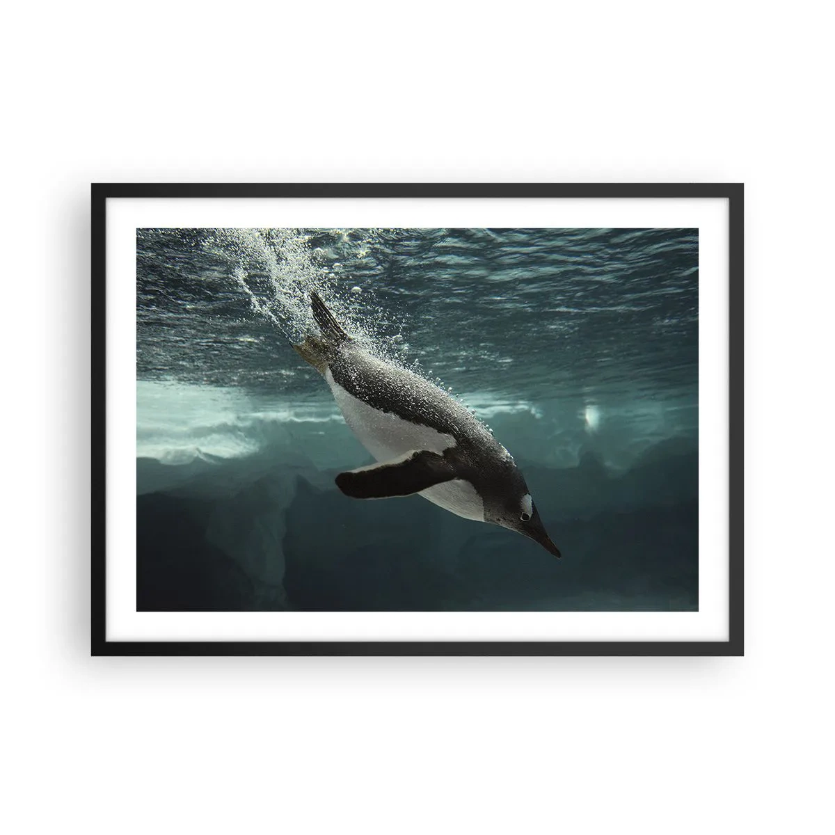 Plakat w czarnej ramie - Pingwin nurkujący w głębinach lodowej wody - 70x50cm - Witaj w moim świecie - Nowoczesna dekoracja ścienna do salonu i sypialni ARTTOR