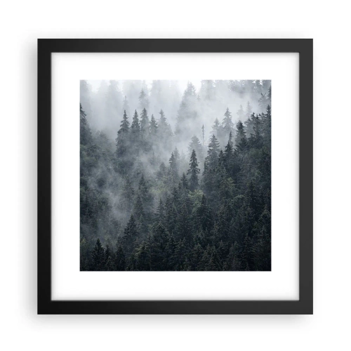 Plakat w czarnej ramie - Leśny świt - 30x30 cm