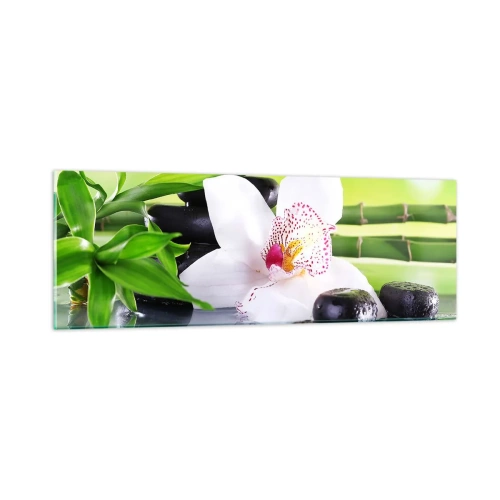 Obraz na szkle - Chłodna świeżość - 90x30 cm
