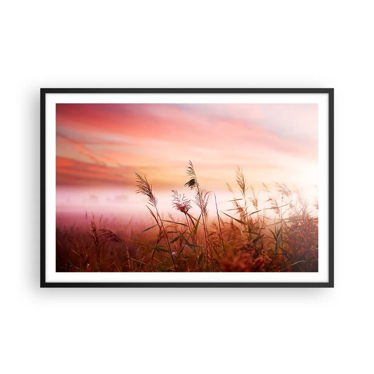 Plakat w czarnej ramie - Latawce, dmuchawce, wiatr - 91x61 cm