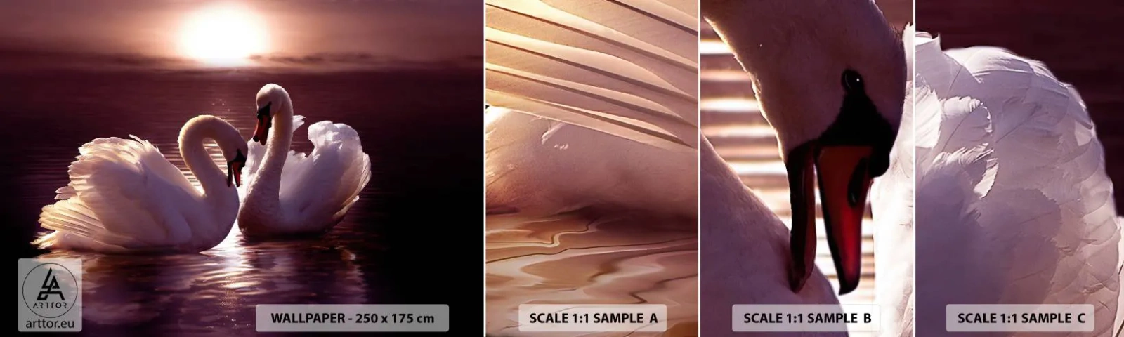 Fototapeta Próbka Standard Eco - Aż śmierć nas nie rozłączy - Zwierzęta, Krajobraz, Łabędzie - 100x30 cm