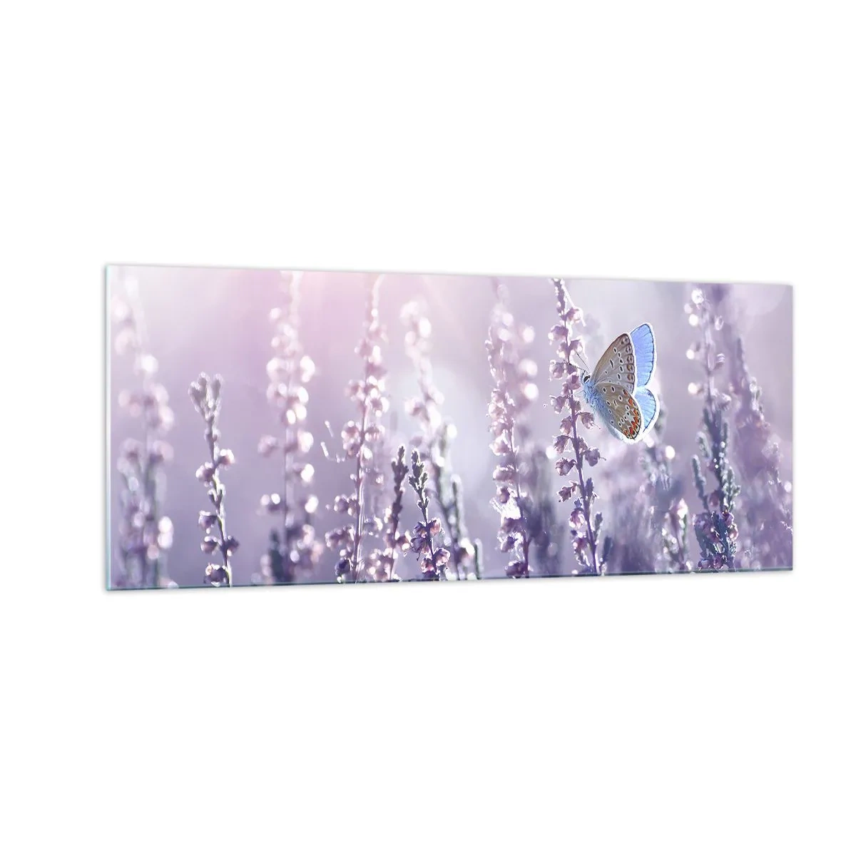 Obraz na szkle - Pocałunek motyla - 100x40 cm