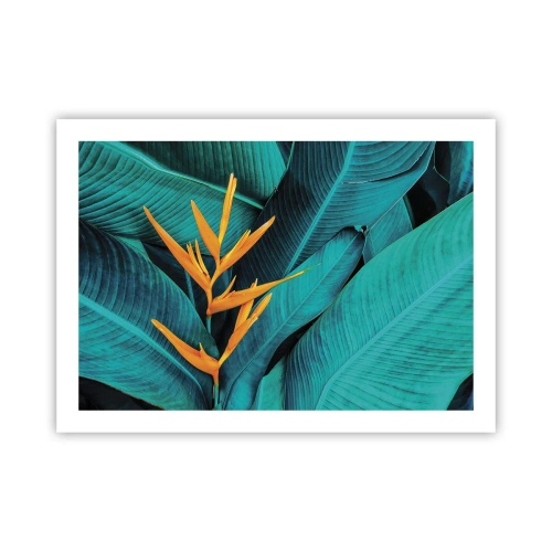 Plakat - Kwiat Edenu - 70x50 cm