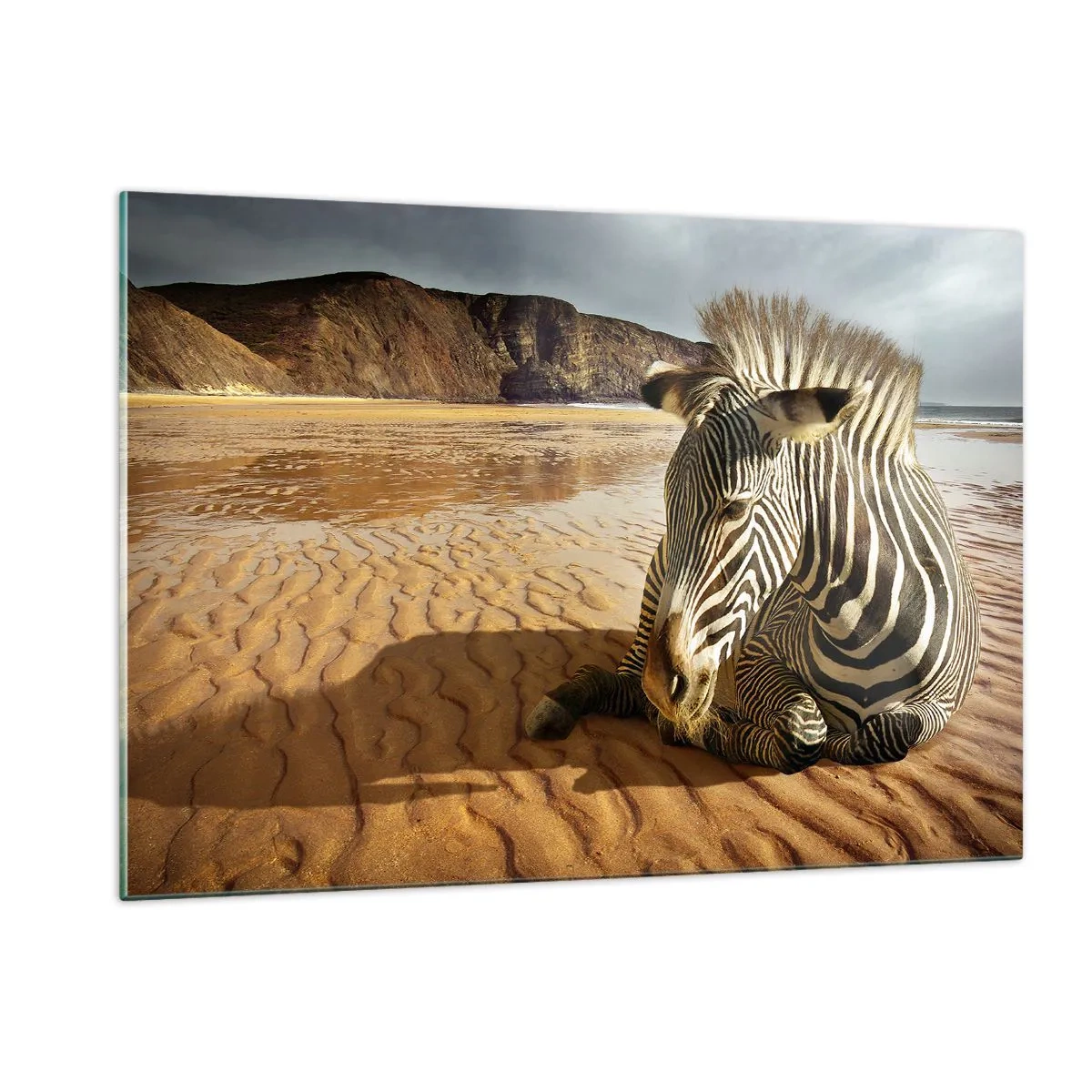 Obraz na szkle - Zebra odpoczywająca na plaży o zachodzie słońca - 120x80cm - Pasujemy do siebie - Nowoczesna dekoracja ścienna do salonu, kuchni i sypialni ARTTOR