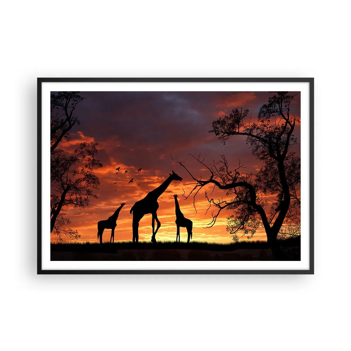 Plakat w czarnej ramie - Sylwetki żyraf na tle zachodzącego słońca w Afryce - 100x70cm - Mała kolacja w gronie najbliższych - Nowoczesna dekoracja ścienna do salonu i sypialni ARTTOR