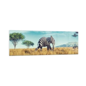 Obraz na szkle - Zebra w afrykańskim krajobrazie - 160x50cm - Szarość już niemodna - Nowoczesna dekoracja ścienna do salonu i sypialni ARTTOR