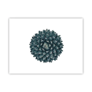 Plakat - Gwiazda pustyni - 40x30 cm