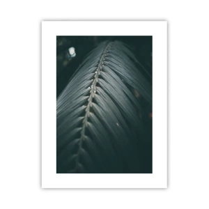 Plakat - Precyzja natury - 30x40 cm