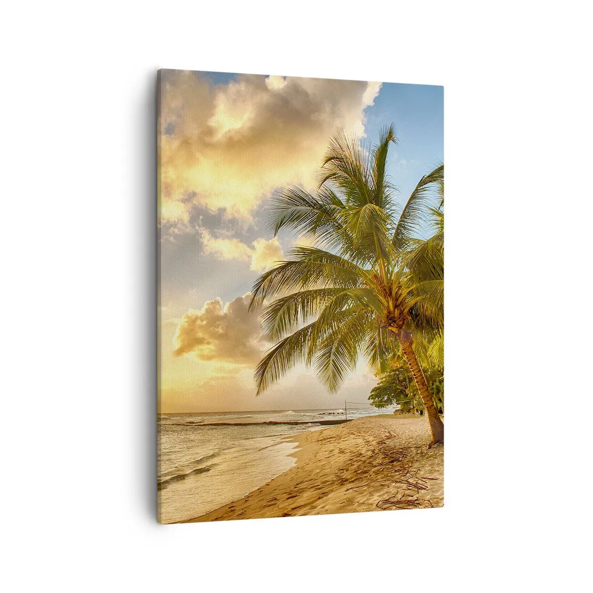 Obraz na płótnie - Wieczne lato, zawsze wakacje - Tropikalna plaża z palmą o zachodzie słońca - 50x70cm