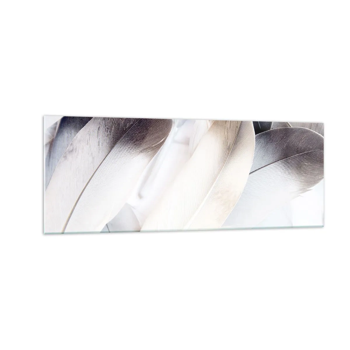 Obraz na szkle - Zbliżenie na delikatne pióra w odcieniach bieli i szarości - 140x50cm - Niemal anielskie - Nowoczesna dekoracja ścienna do salonu i sypialni ARTTOR